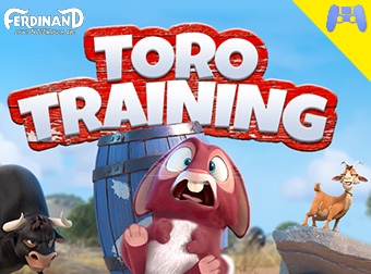 Toro Training